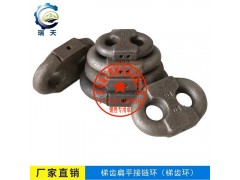 30x108扁平接鏈環(huán)濟(jì)南瑞天廠家供應(yīng)歡迎