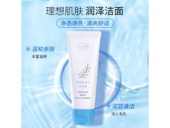 元?dú)獾貛缞y溫和氨基酸潔面膏控油平衡新選擇補(bǔ)水保濕新體驗(yàn)